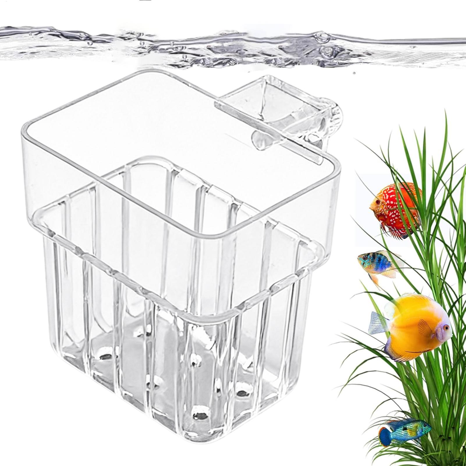 Aquarium Plant Design - Şeffaf Asılabilir Akvaryum Bitki Saksısı, Balık