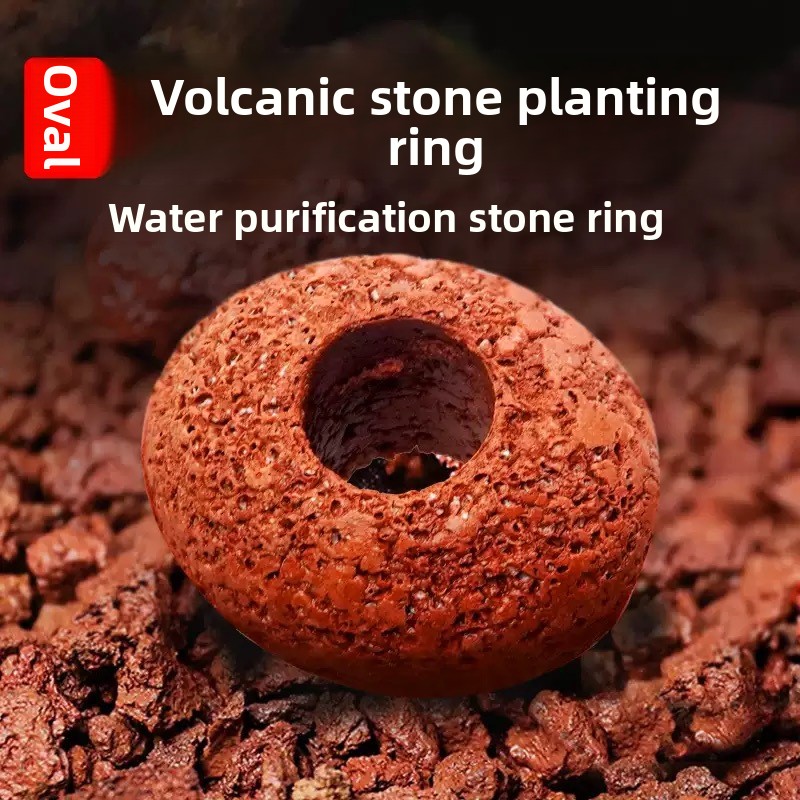 Planted Aquarium Care - Akvaryum Volkanik Kaya Balık Tankı Bitki