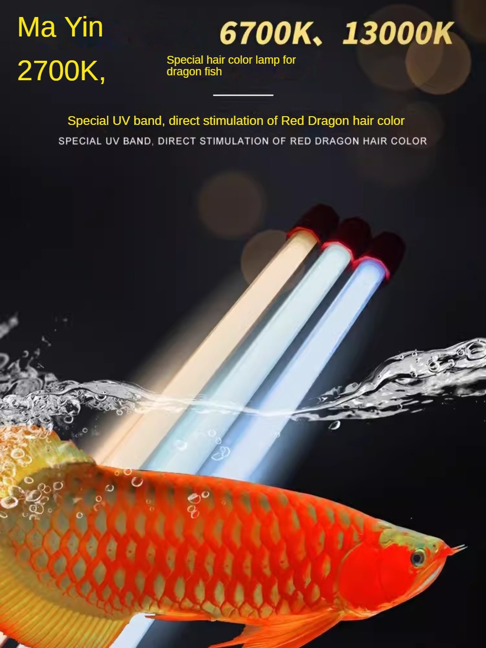Aquarium Plant Yellowing - Cam Arowana Akvaryum Işığı, Arowana, Bitkiler,