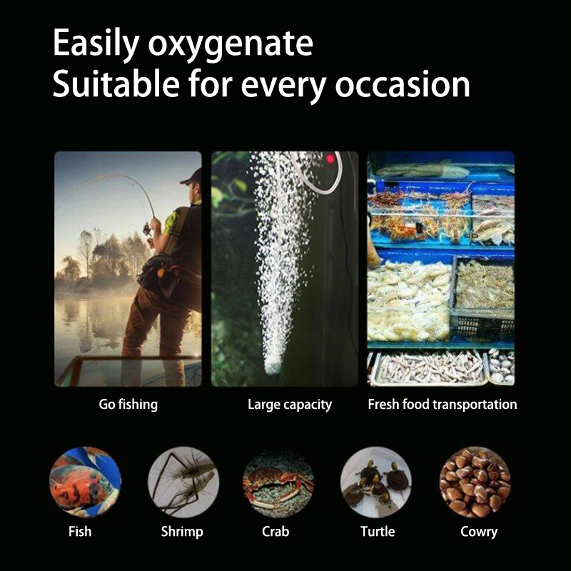 Mini akvaryum hava pompası kit - Aquael Filter Fzn incelemesi ve fiyatı