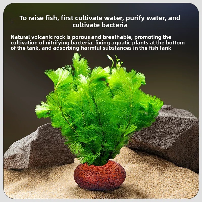 Akvaryum Volkanik Kaya Balık T - Planted Aquarium Care incelemesi ve fiyatı