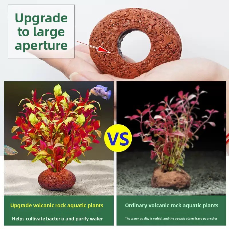 Akvaryum Volkanik Kaya Balık T - Planted Aquarium Care incelemesi ve fiyatı