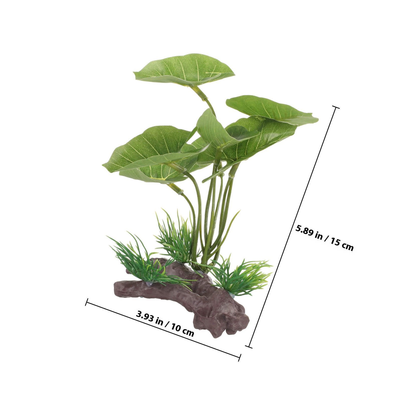 Balık Tankları ve Sürüngen Ter - Planted Aquarium Care incelemesi ve fiyatı