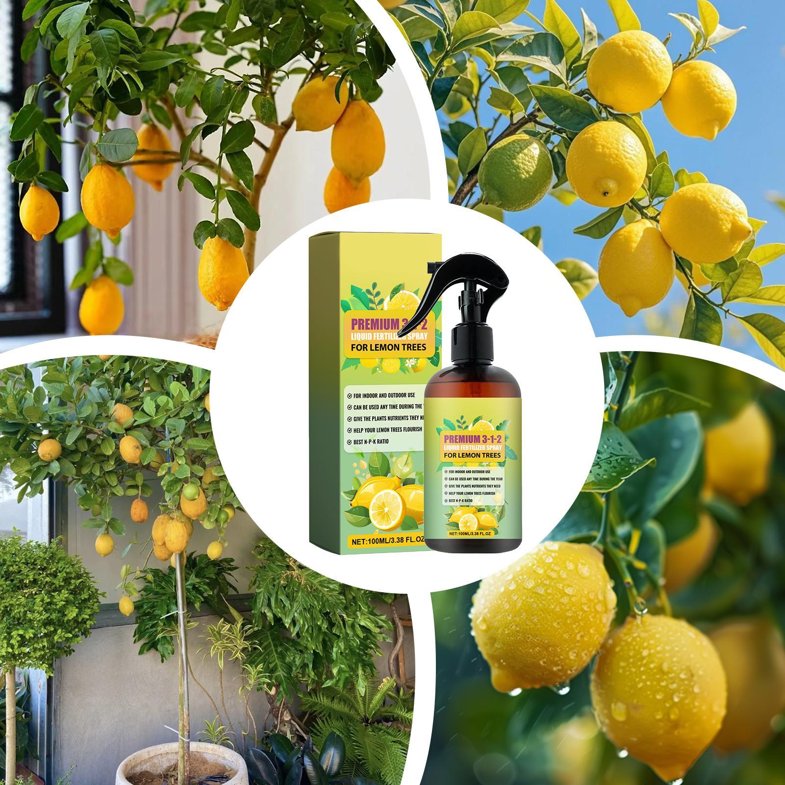 Konsantre Limon Ağacı Besin Sp - Liquid Fertilizer All In incelemesi ve fiyatı