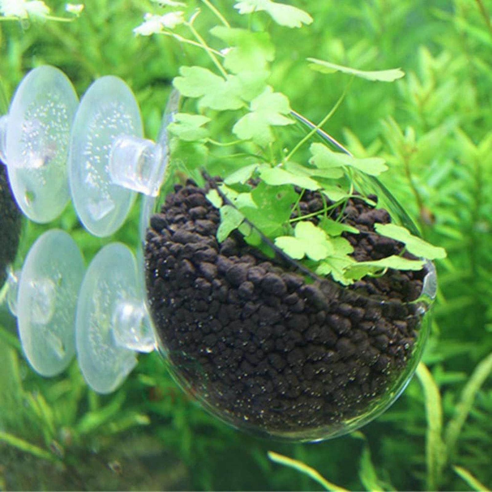 Vakumlu Bardaklı Akvaryum Cam  - Aquarium Plant Dip incelemesi ve fiyatı