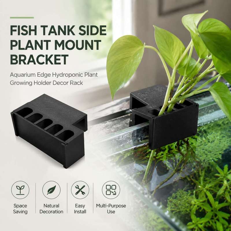 Balık Tankı Yan Bitki Montaj B - Aquarium Plant Design incelemesi ve fiyatı
