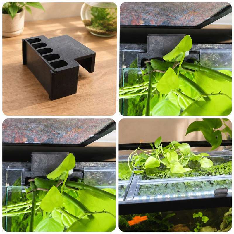 Balık Tankı Yan Bitki Montaj B - Aquarium Plant Design incelemesi ve fiyatı