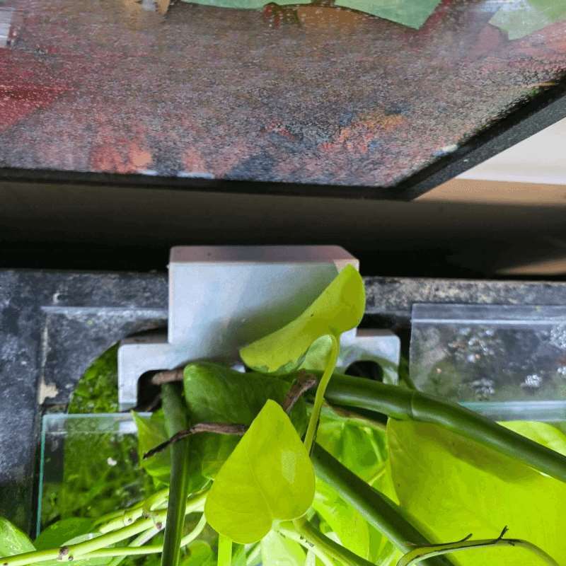 Balık Tankı Yan Bitki Montaj B - Aquarium Plant Design incelemesi ve fiyatı
