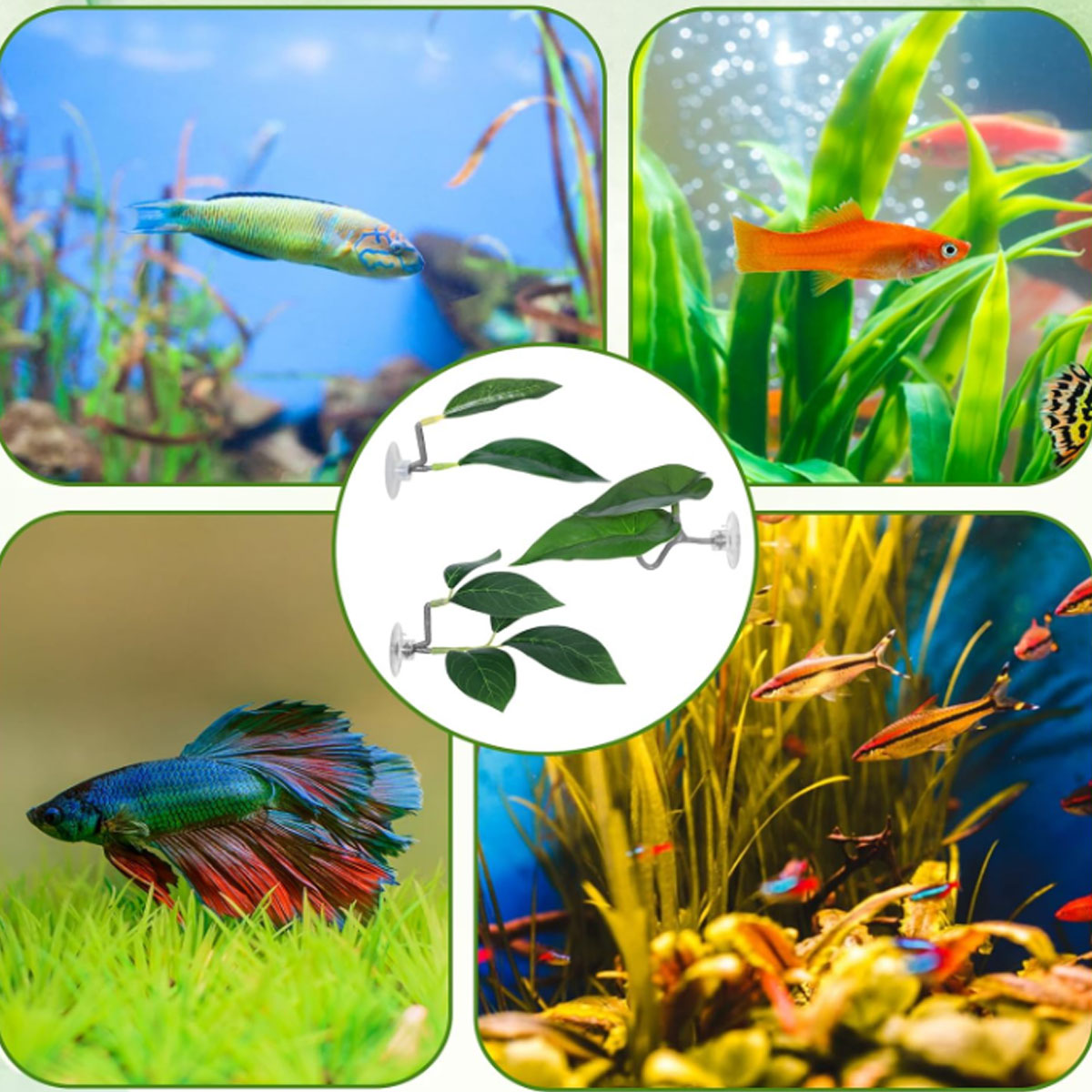 1 adet Betta balık hamak yumuş - Aquarium Plant Design incelemesi ve fiyatı