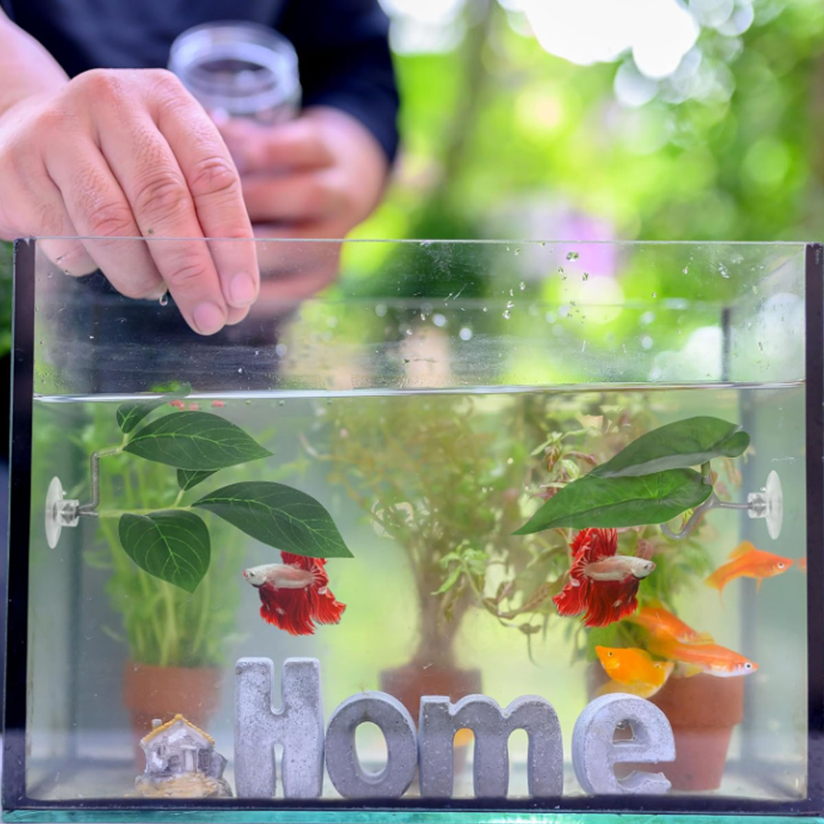 1 adet Betta balık hamak yumuş - Aquarium Plant Design incelemesi ve fiyatı