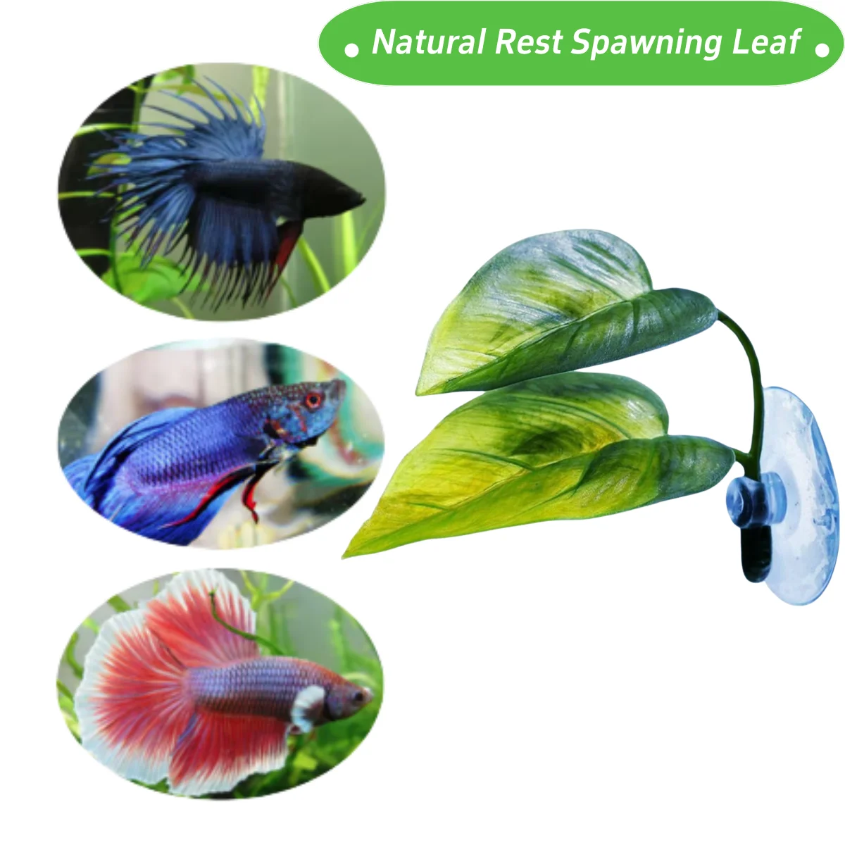 Evcil Hayvanlar İçin Akvaryum  - Aquarium Plant Design incelemesi ve fiyatı