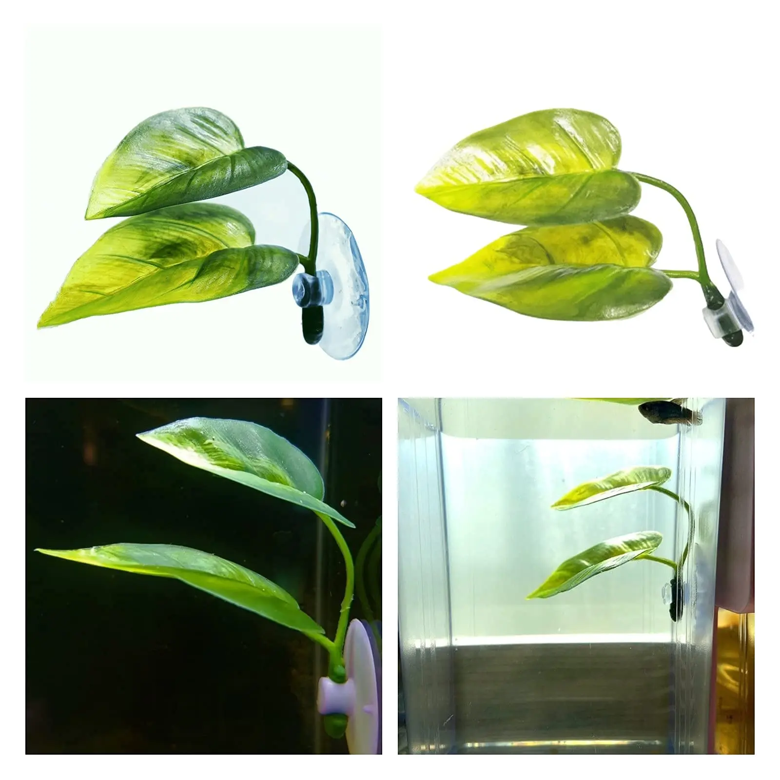 Evcil Hayvanlar İçin Akvaryum  - Aquarium Plant Design incelemesi ve fiyatı