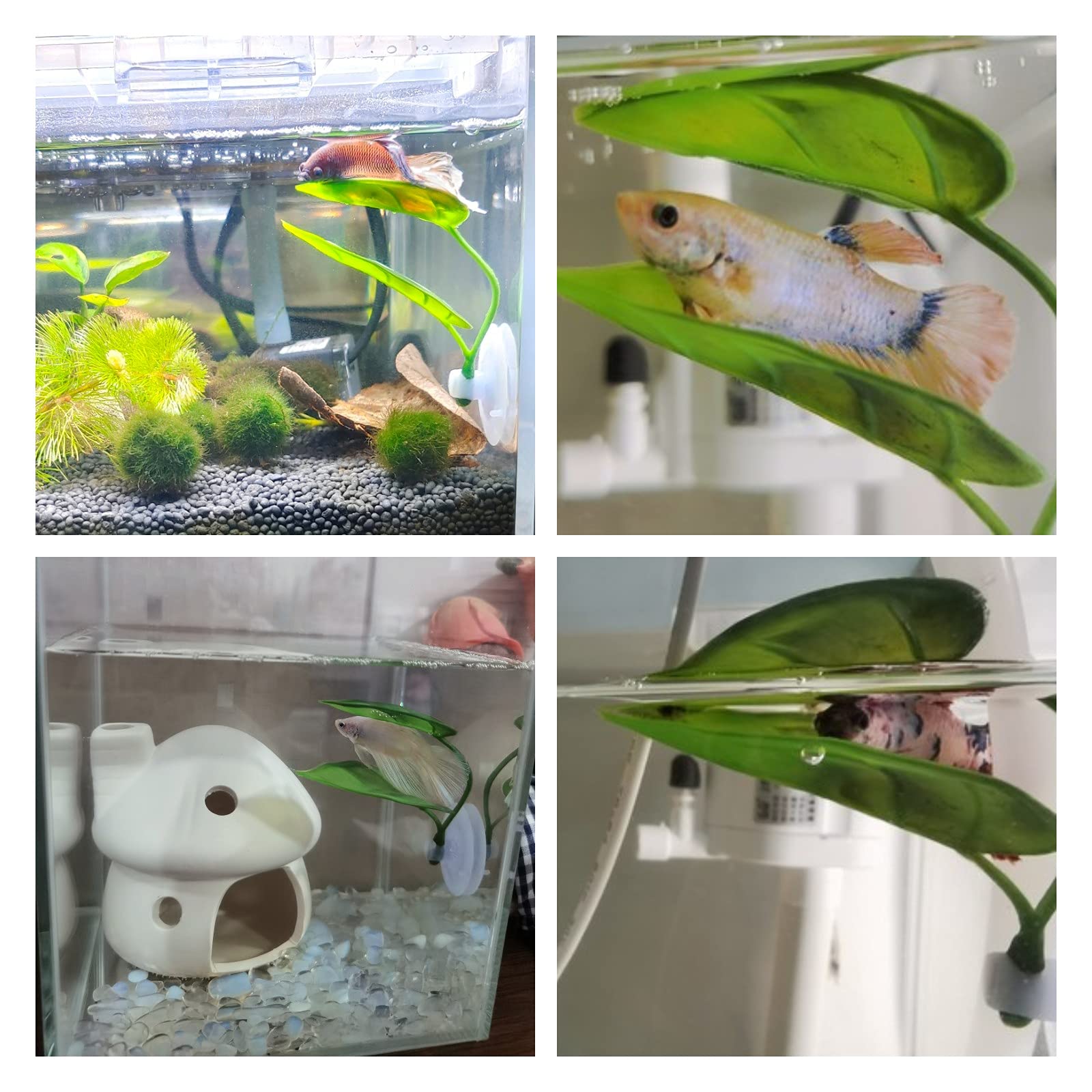 Evcil Hayvanlar İçin Akvaryum  - Aquarium Plant Design incelemesi ve fiyatı