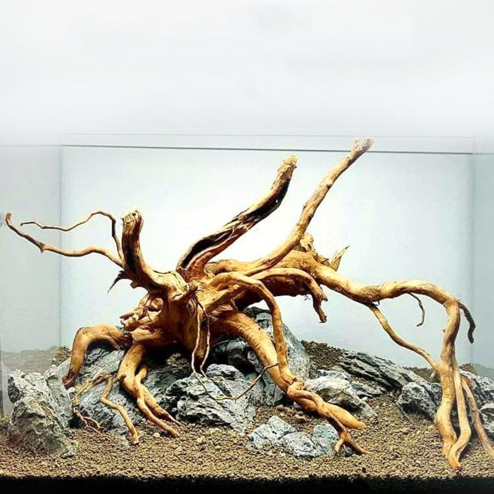 20-25CM Büyük Akvaryum Driftwo - Aquarium Plant Design incelemesi ve fiyatı