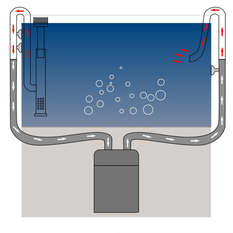 Yeni balık tankı zambak boru p - Aquarium Planted Tank Filter incelemesi ve fiyatı