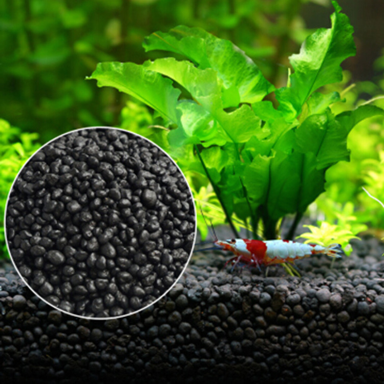 Akvaryum bitki tohumları topra - Aquarium Plant Liquid Fertilizer incelemesi ve fiyatı