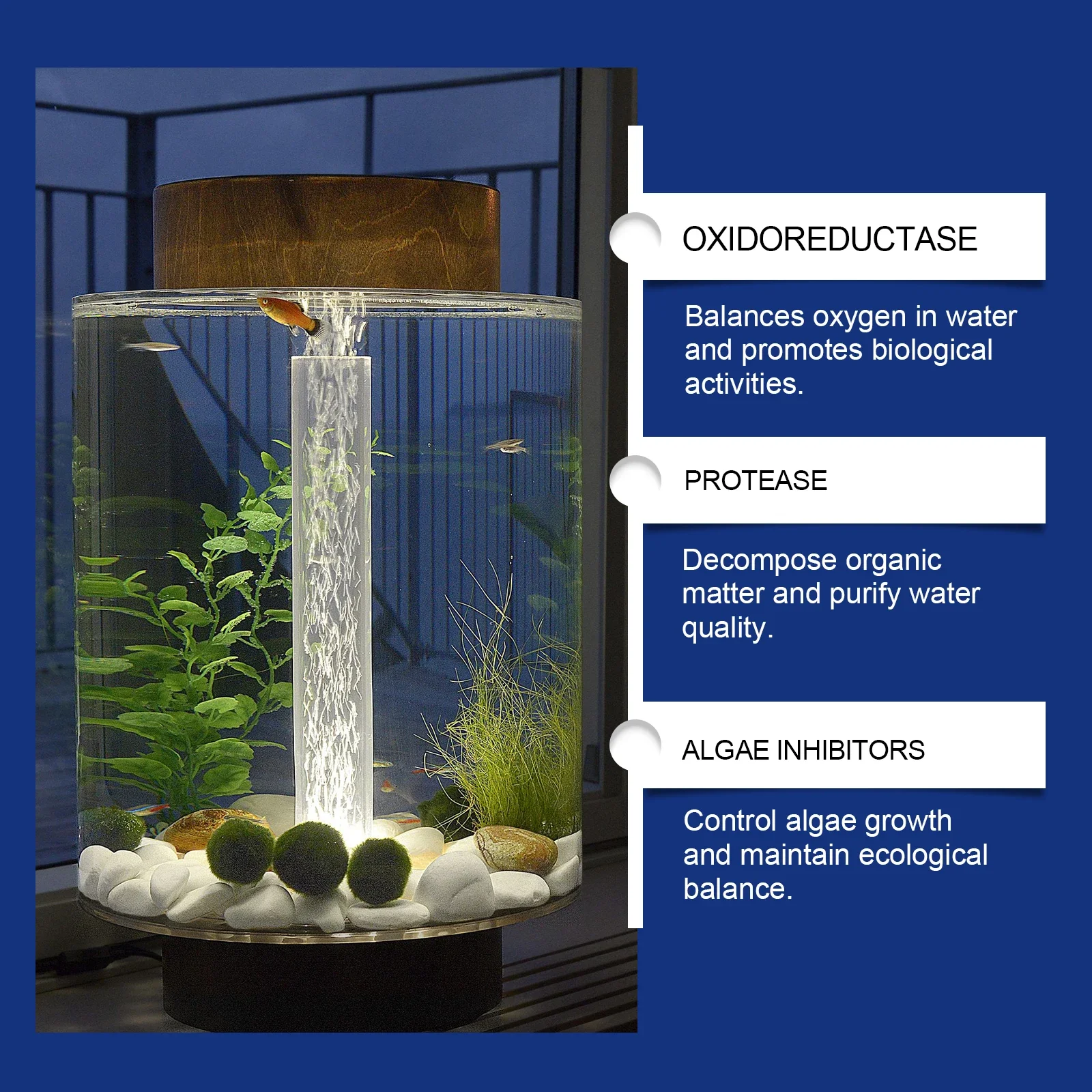Akvaryum Suyu Arıtıcı Balık Ta - Aquarium Plant Liquid Fertilizer incelemesi ve fiyatı