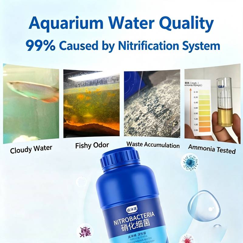 Akvaryum Tatlı Su 120ml Bakım  - Planted Aquarium Care incelemesi ve fiyatı