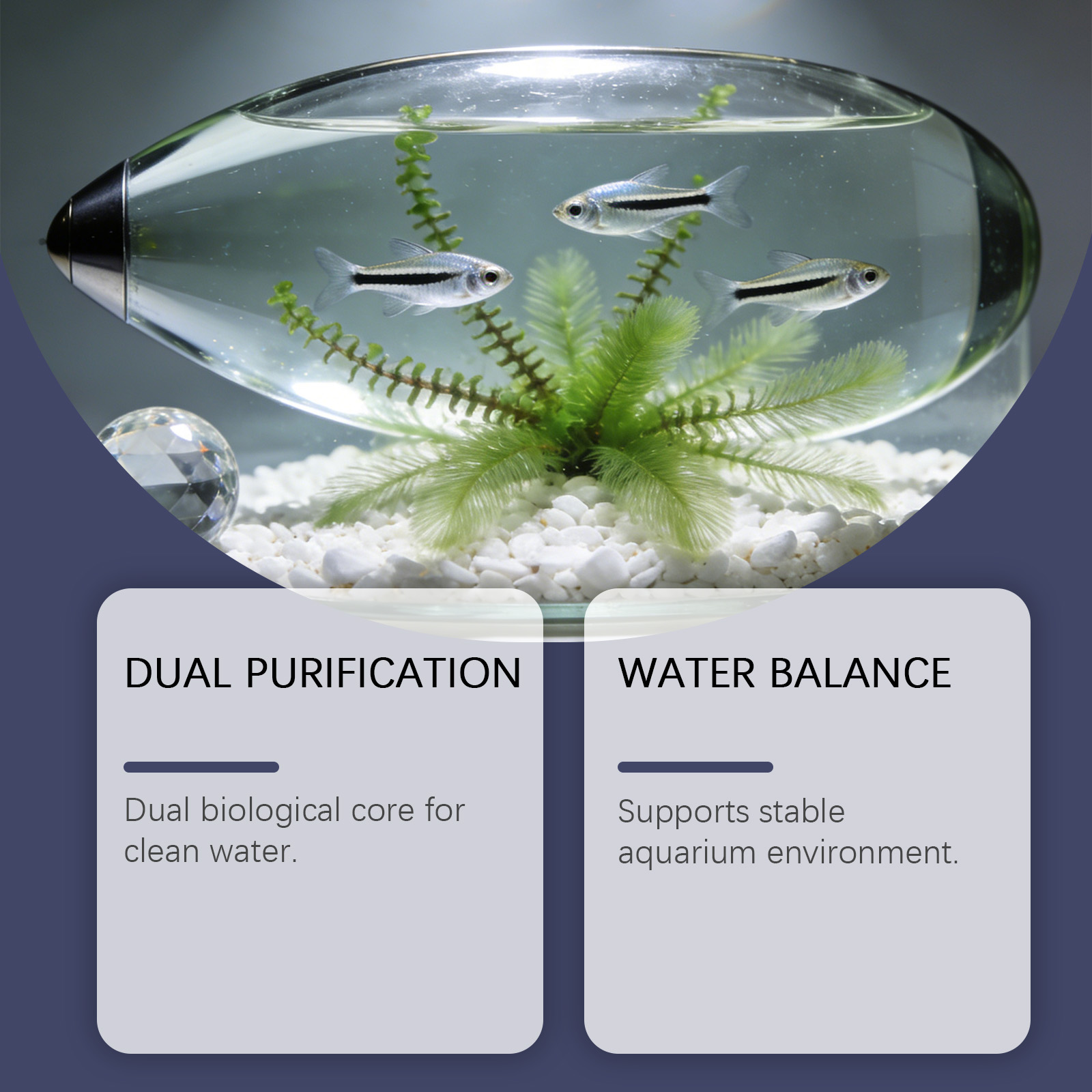 Akvaryum için Alg Giderici Tab - Planted Aquarium Cloudy Water incelemesi ve fiyatı