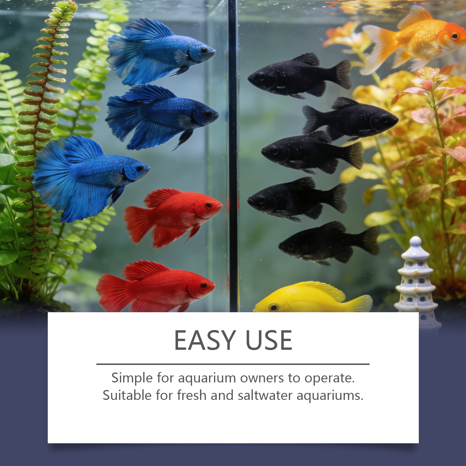 Akvaryum için Alg Giderici Tab - Planted Aquarium Cloudy Water incelemesi ve fiyatı