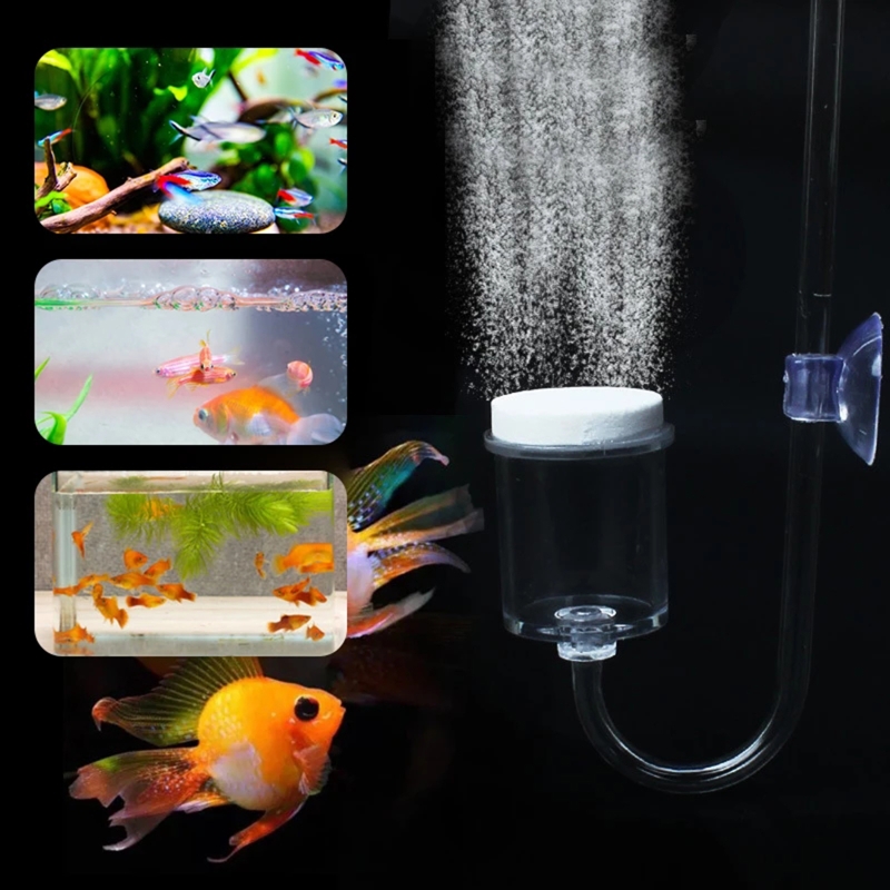 4 adet Set DIY CO2 difüzör içi - Aquarium Plant Dip incelemesi ve fiyatı